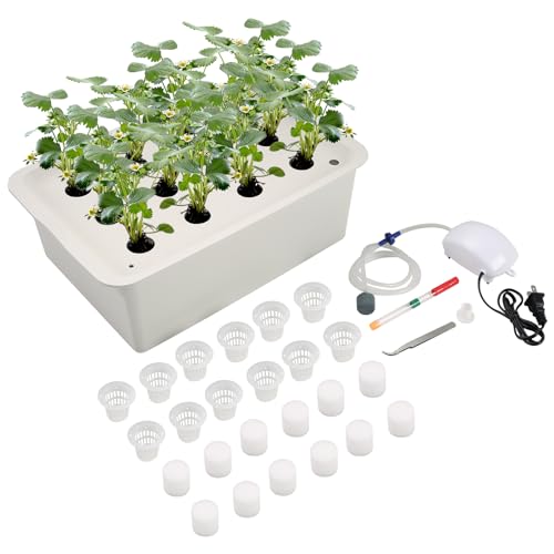 NATGAI Hydroponic System Growing Kit with Air Pump 12 Holes Soilless Cultivation Grow Box Garden Cabinet Box for Herbs, Lettuce, Vegetables - Image 1