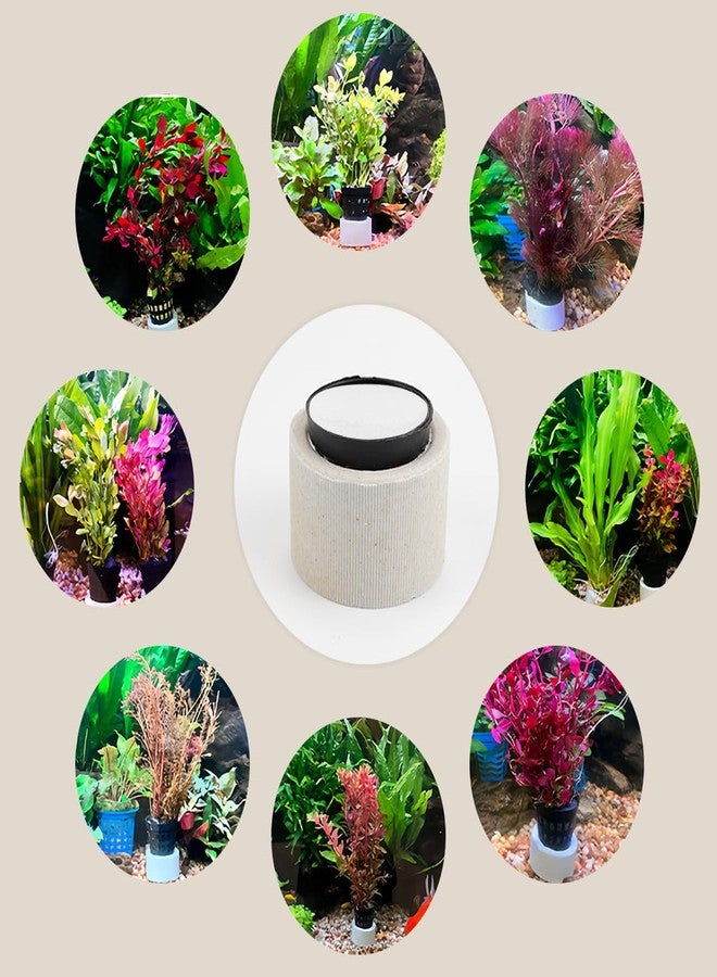 YOLUFER Aquatic Plants Fixed Set 10pcs Aquarium Plant Weights Pot and 10pcs Planting Cup with 10pcs Fixing Cottons Aquarium Accessories (30) - Image 5