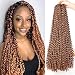 Leeven 2 Packs 24 Inch Passion Twist Hair Long Bohemian Water Wave Crochet Hair for Butterfly Locs Braiding Hair Brown Curly Synthetic Passion Twists Hair Goddess Locs Hair Extensions 30# - Image 2