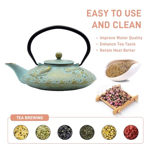 SECHUDO 27.1oz Small Cast Iron Teapot, SECHUDO Japanese Style Tea Kettle Coated with Enameled Interior for Stovetop Safe,Cast Iron Tea Pot with Stainless Steel Strainer for Loose Leaf,Flat Fish Pattern(800ml) - Image 3