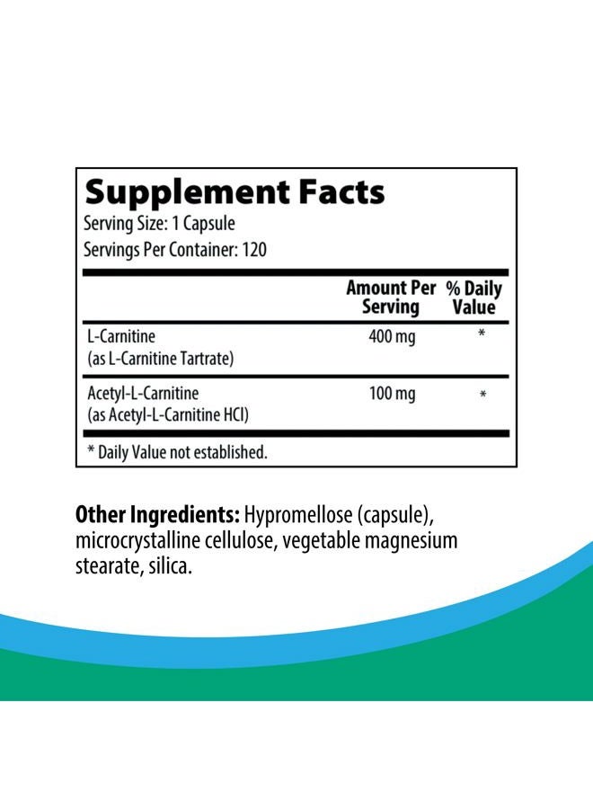 Rootcology Carnitine Blend - L-Carnitine & Acetyl-L-Carnitine Formula by Izabella Wentz Author of The Hashimoto's Protocol, Ideal for Vegetarians (120 Capsules) - Image 2