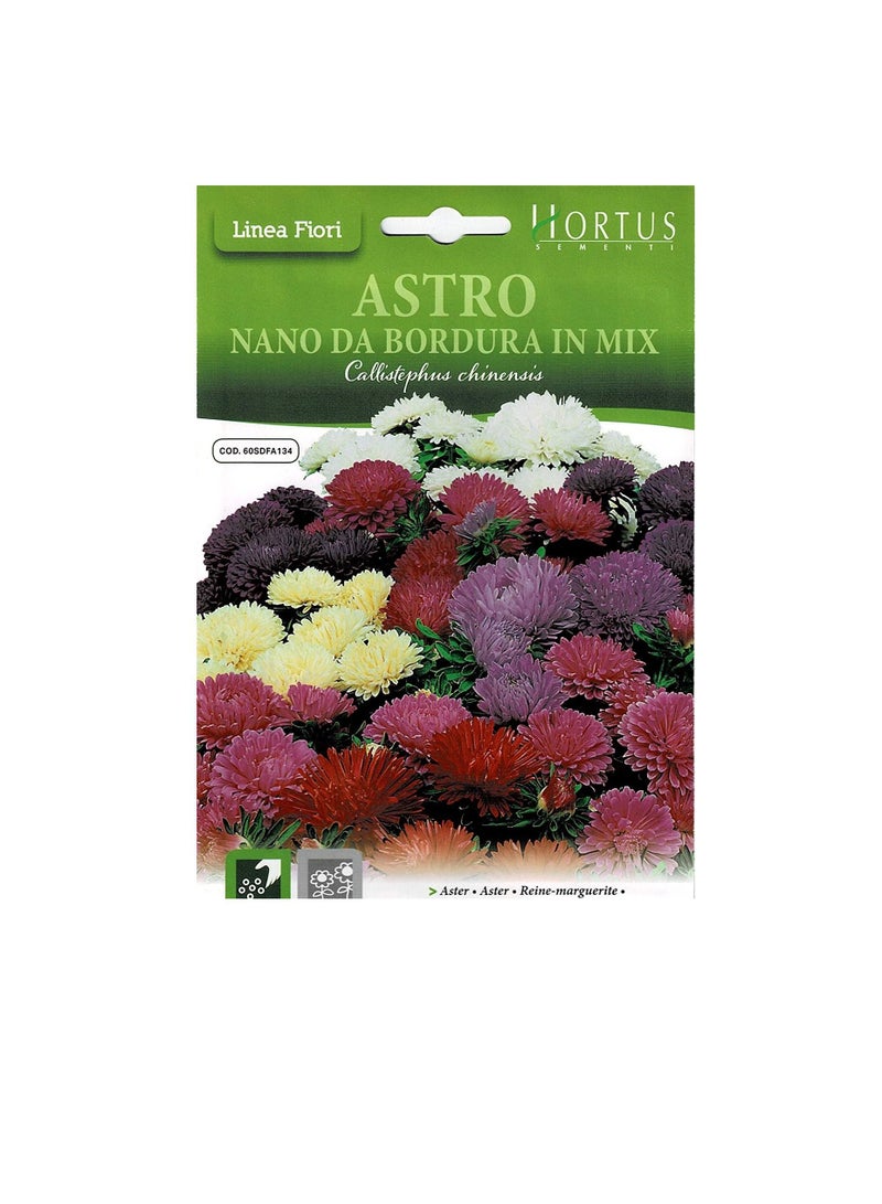 ASTRO Hortus Sementi Aster Nano in Mix Seeds - Image 1