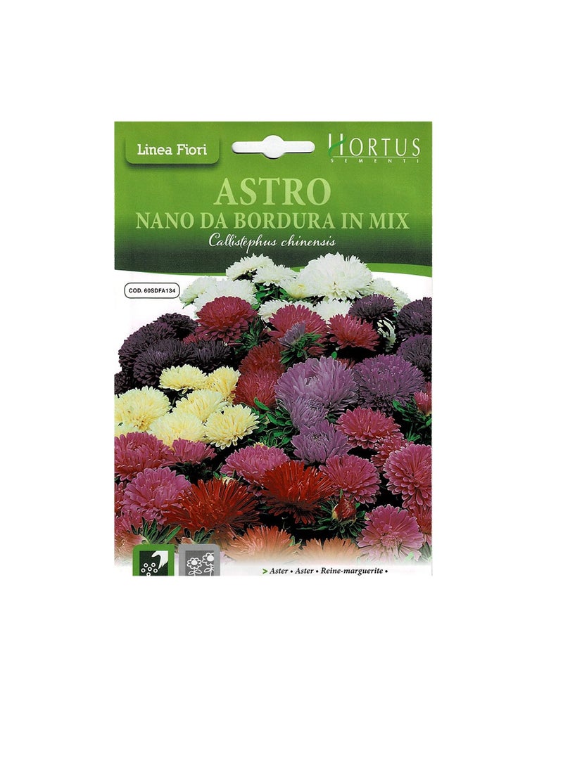 ASTRO Hortus Sementi Aster Nano in Mix Seeds - Image 2