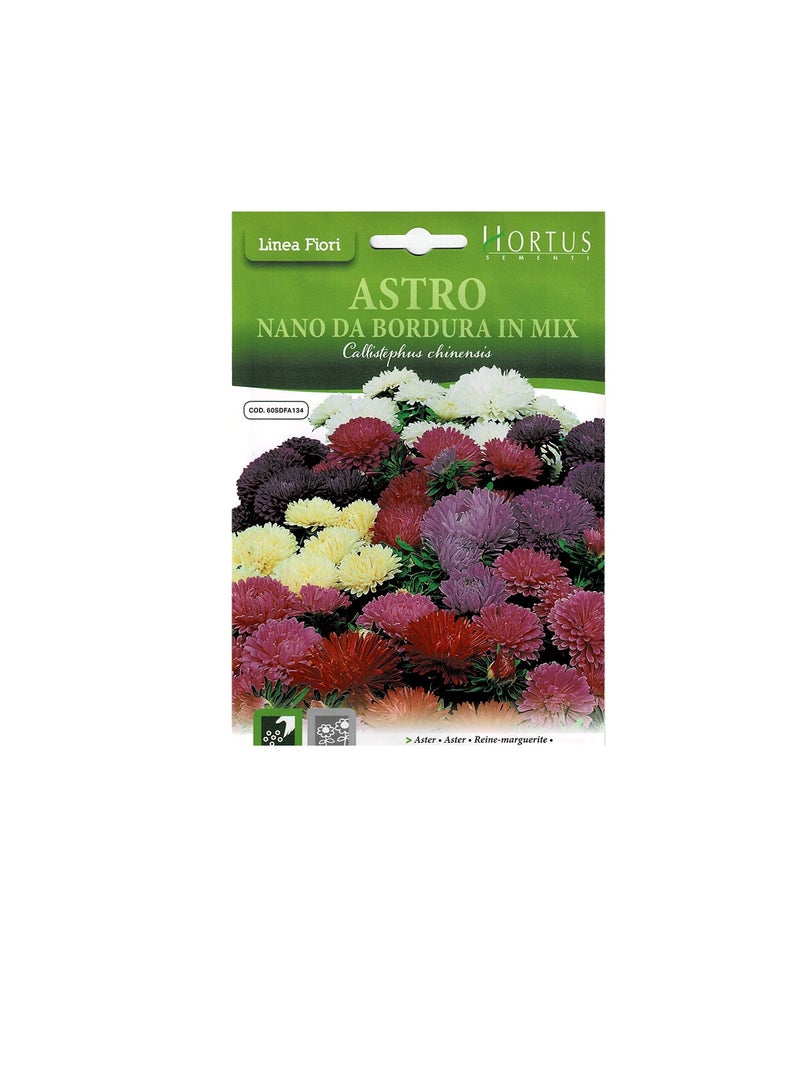 ASTRO Hortus Sementi Aster Nano in Mix Seeds - Image 3