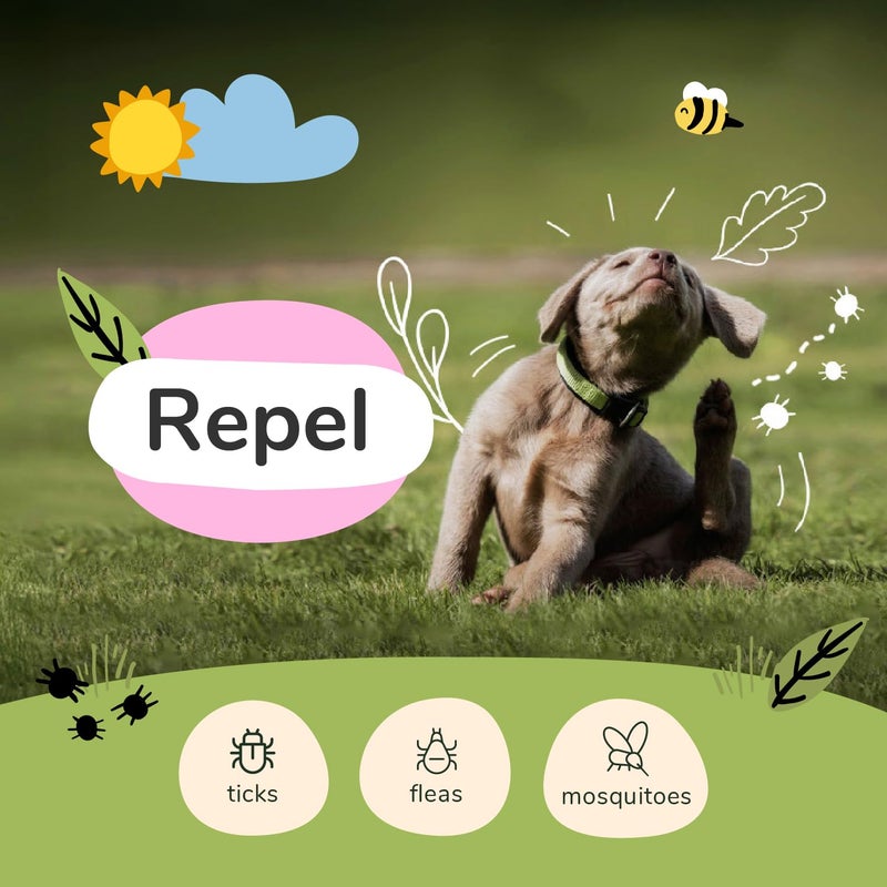 kin+kind Plant Based Flea and Tick Spray for Dogs and Cats â€“ Essential Oil Formula with Lemongrass â€“ Flea and Tick Prevention for Cats, Kittens, Puppies & Dogs - Pet Supplies - Family Safe â€“ 12 fl oz - Image 2