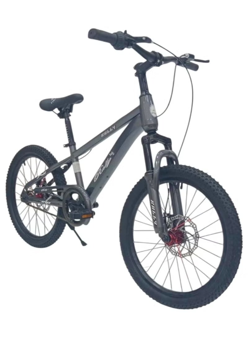 Freestyle Air Tire Road Bicycle with Disc Brake, Size 20