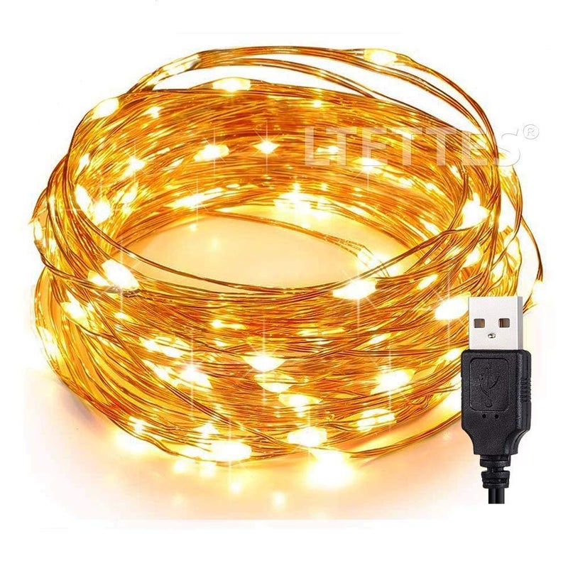 LTETTES 10 Meter 100 LED String Light USB Powered Decorative Copper Wire Warm White Fairy Light for OutdoorIndoor Wedding Festive Decoration 5 Meters 50 LED - Image 1