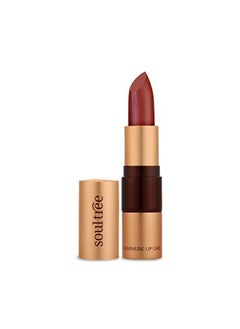 SOULTREE Ayurvedic Lipstick - Colour Cocoa Rich 906, 4Gm  - Image 1