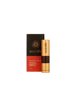 SOULTREE Ayurvedic Lipstick - Colour Cocoa Rich 906, 4Gm  - Image 3