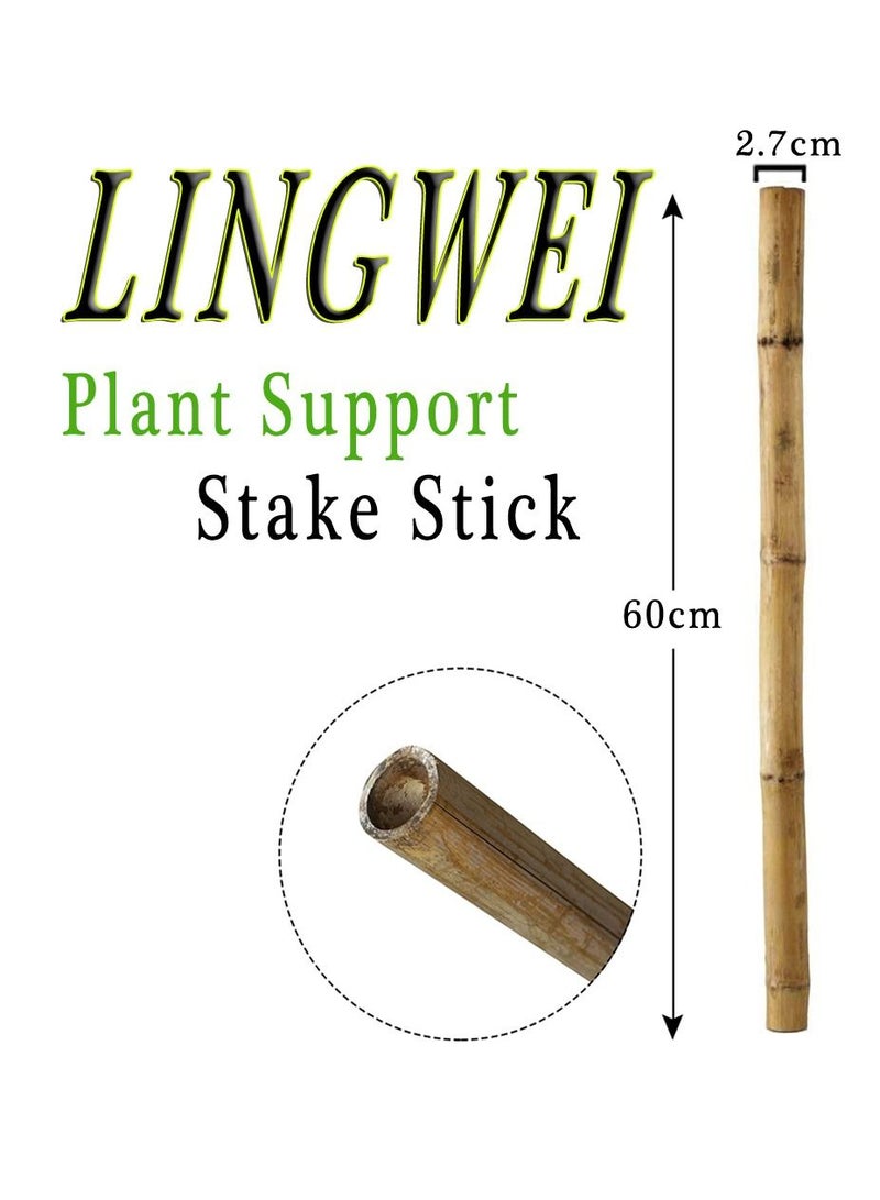 LINGWEI 10 pcs Natural Thick Bamboo Stake Beige  - Image 3