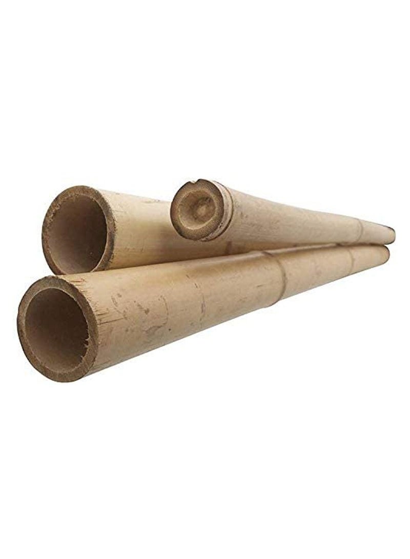 LINGWEI 10 pcs Natural Thick Bamboo Stake Beige  - Image 1