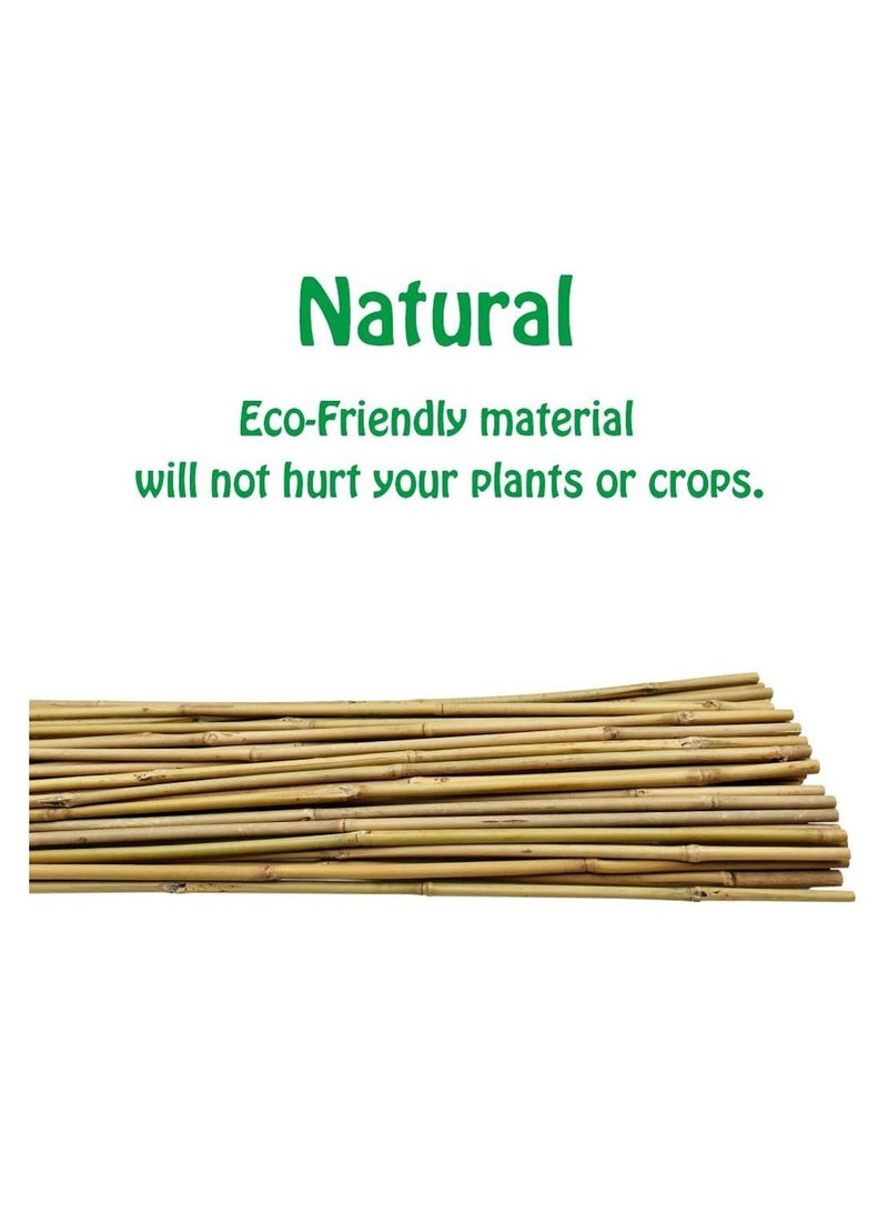 LINGWEI 10 pcs Natural Thick Bamboo Stake Beige  - Image 2