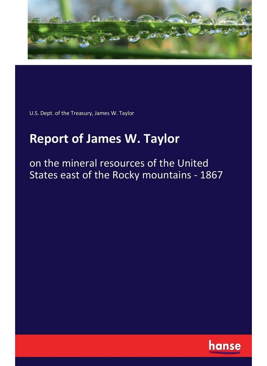 Report of James W. Taylor: on the mineral resources of the United States east of the Rocky mountains - 1867  - Image 1