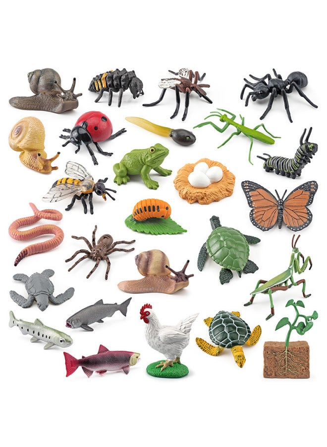 Realistic Small Animal Model Toys Growth Life Cycle Frogs Turtles Chicks Montessori Nursery Teaching Tools-Color:2497 Crocodile Growth Cycle 3 134g - Image 3