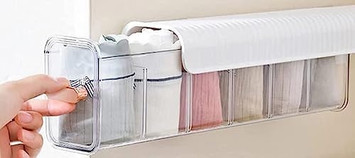 MURTISIDDH MURTISIDDH 5 Grids Wall Mounted Socks and Undergarment Organizer Transparent Storage Box for Wardrobe Bra Panty Data Cable MultiFunctional Plastic Storage Rack - Image 3