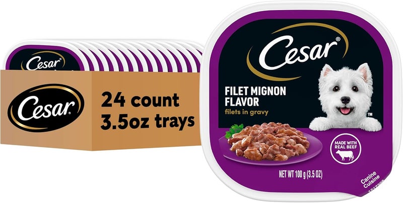 Cesar Filets in Gravy, Adult Wet Dog Food, Filet Mignon Flavor, Wet Food for Dogs, 3.5 oz Trays, 24 Count - Image 1