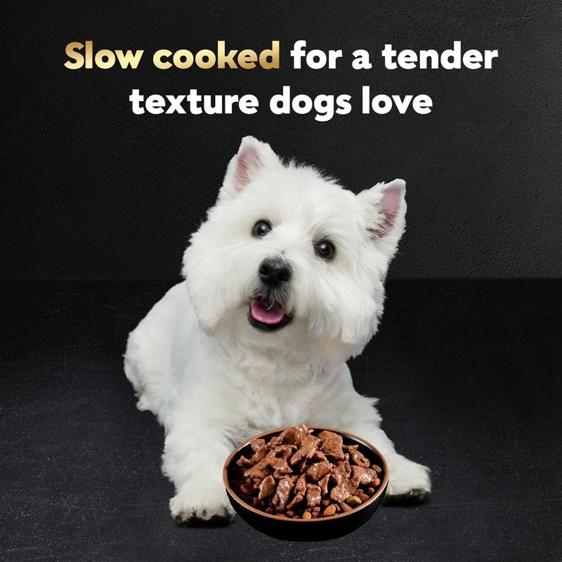 Cesar Filets in Gravy, Adult Wet Dog Food, Filet Mignon Flavor, Wet Food for Dogs, 3.5 oz Trays, 24 Count - Image 3