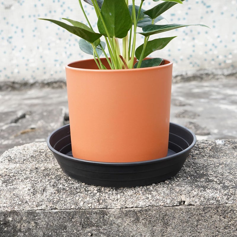 LWALRS 4 Packs 6 Inches Plant Saucer Drip Trays, Round Plastic Plant Pot Saucers Flower Pot Tray for Indoor Outdoor - Image 4