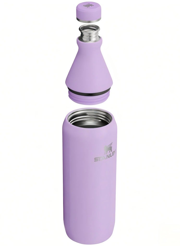 ستانلي زجاجة سليم طوال اليوم 20 أونصة | قم بلف الغطاء بختم مانع للتسرب | تصميم نحيف للسفر وصالة الألعاب الرياضية | ستانلس ستيل معزول | خالية من مادة BPA - Image 3