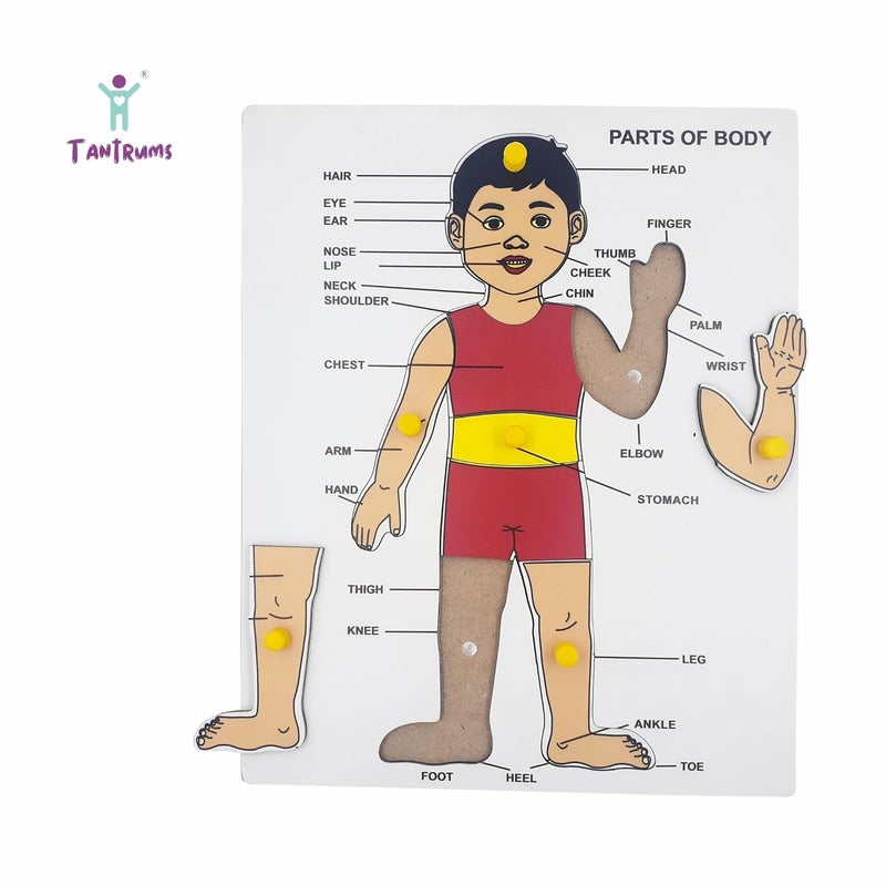Tantrums Preschool Wooden Educational Parts of Body Puzzle for Kids - Develops Hand-Eye Coordination and Motor Skills - Image 3