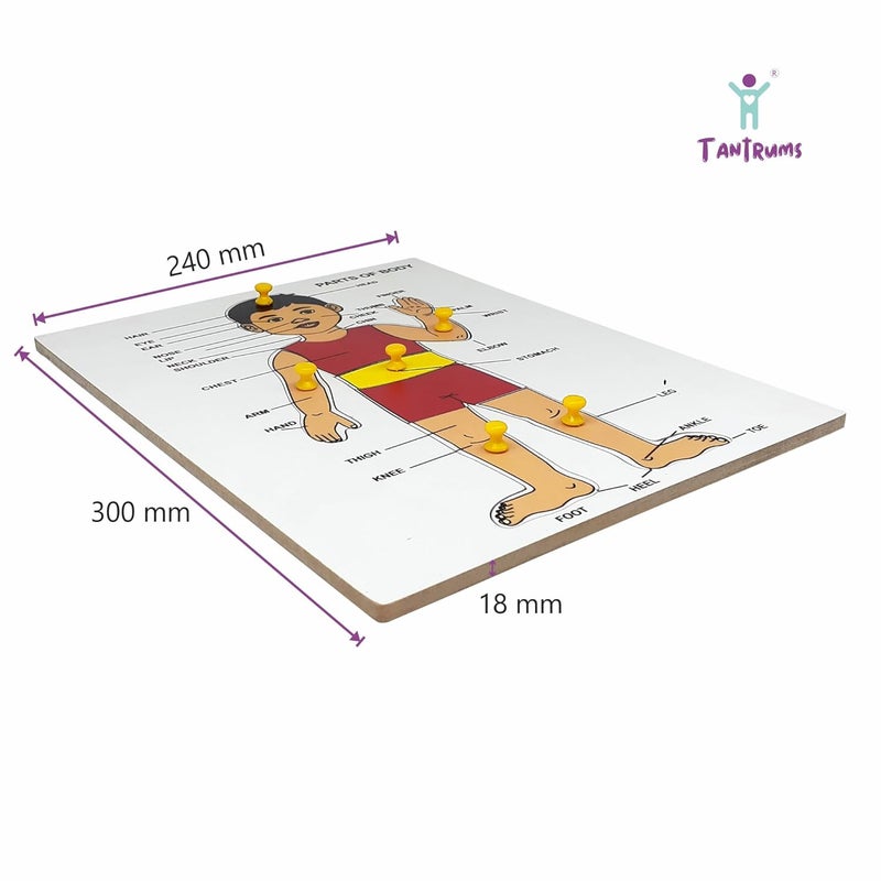 Tantrums Preschool Wooden Educational Parts of Body Puzzle for Kids - Develops Hand-Eye Coordination and Motor Skills - Image 2