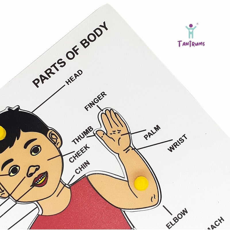 Tantrums Preschool Wooden Educational Parts of Body Puzzle for Kids - Develops Hand-Eye Coordination and Motor Skills - Image 4