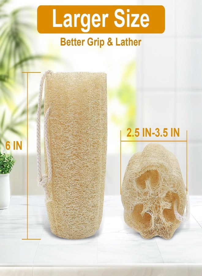 CrazyTerra Natural Loofah Sponge (2 Pcs), 6“ Organic Loofah Eco Friendly 100% All Natural Biodegradable luffa Cleaning Exfoliating Body Scrubber Egyptian Loofa for Deep Clean Real loofah Bath Shower Men Women - Image 5