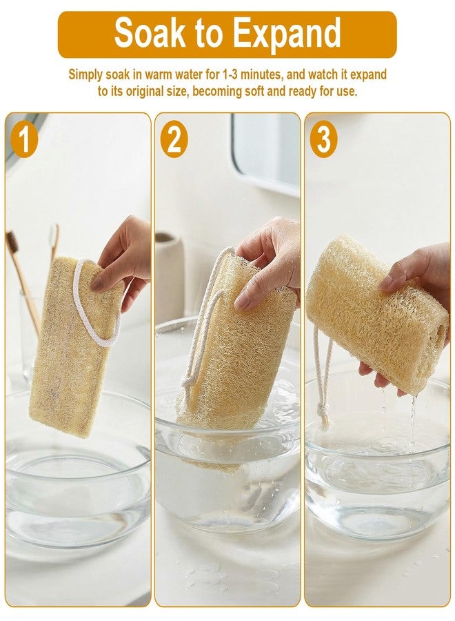 CrazyTerra Natural Loofah Sponge (2 Pcs), 6“ Organic Loofah Eco Friendly 100% All Natural Biodegradable luffa Cleaning Exfoliating Body Scrubber Egyptian Loofa for Deep Clean Real loofah Bath Shower Men Women - Image 3