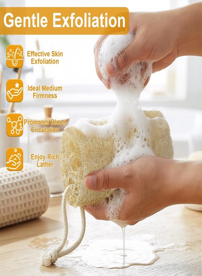 CrazyTerra Natural Loofah Sponge (2 Pcs), 6“ Organic Loofah Eco Friendly 100% All Natural Biodegradable luffa Cleaning Exfoliating Body Scrubber Egyptian Loofa for Deep Clean Real loofah Bath Shower Men Women - Image 4