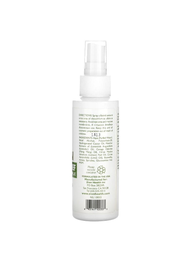 Zion Health Zion Health, Alozin Ultimate Relief, Muscles & Joints, 4 fl oz (120 ml)  - Image 2