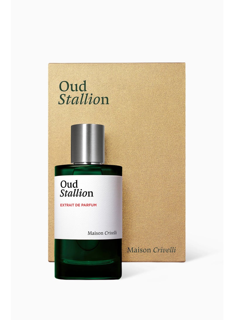 Maison Crivelli Oud Stallion 100 ML - Image 1