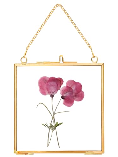 REDHUGO Glass Pressed Flower FramesVintage Hanging Picture Frames with ChainHandmade Brass Floating Picture FramePlant Specimen Wall Ornament Display Artwork DIY Family PhotoSquareGold4x4 Inches - Image 1