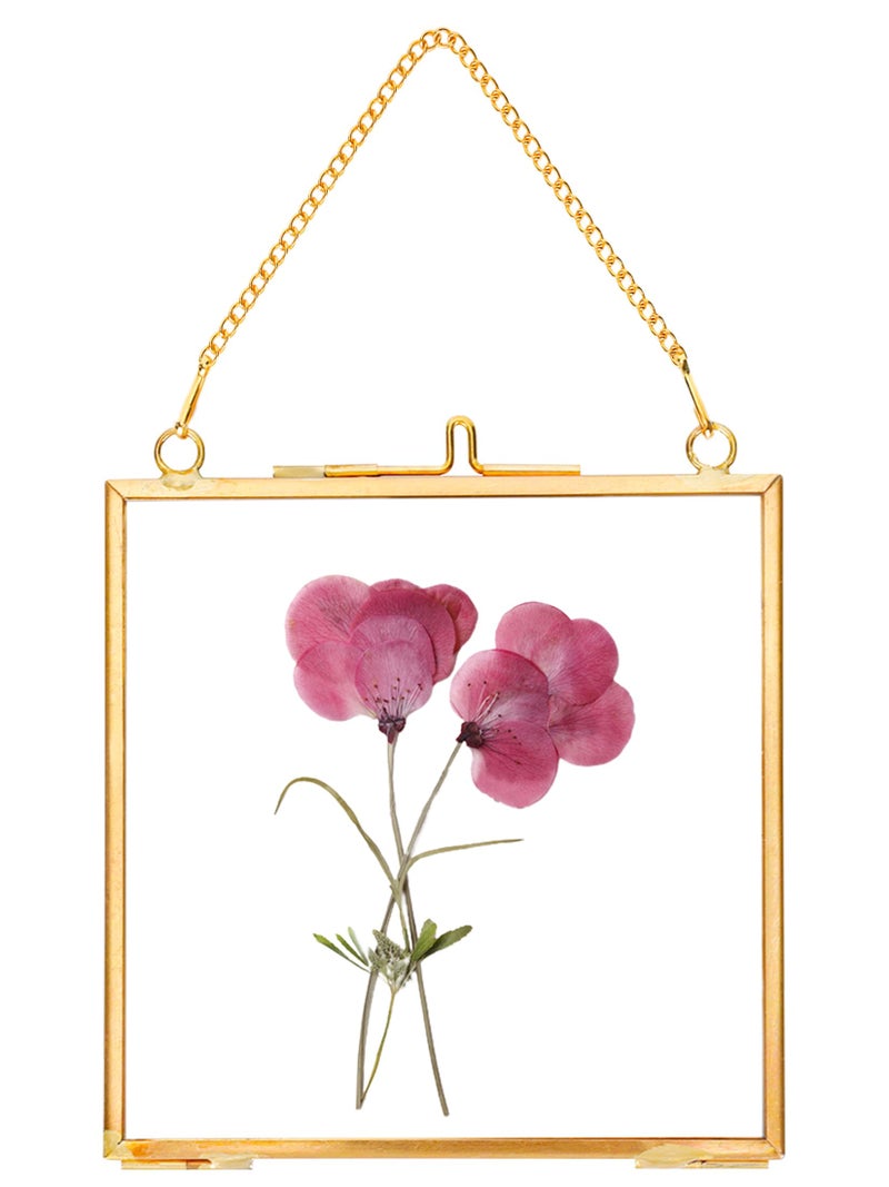 REDHUGO Glass Pressed Flower FramesVintage Hanging Picture Frames with ChainHandmade Brass Floating Picture FramePlant Specimen Wall Ornament Display Artwork DIY Family PhotoSquareGold4x4 Inches - Image 2