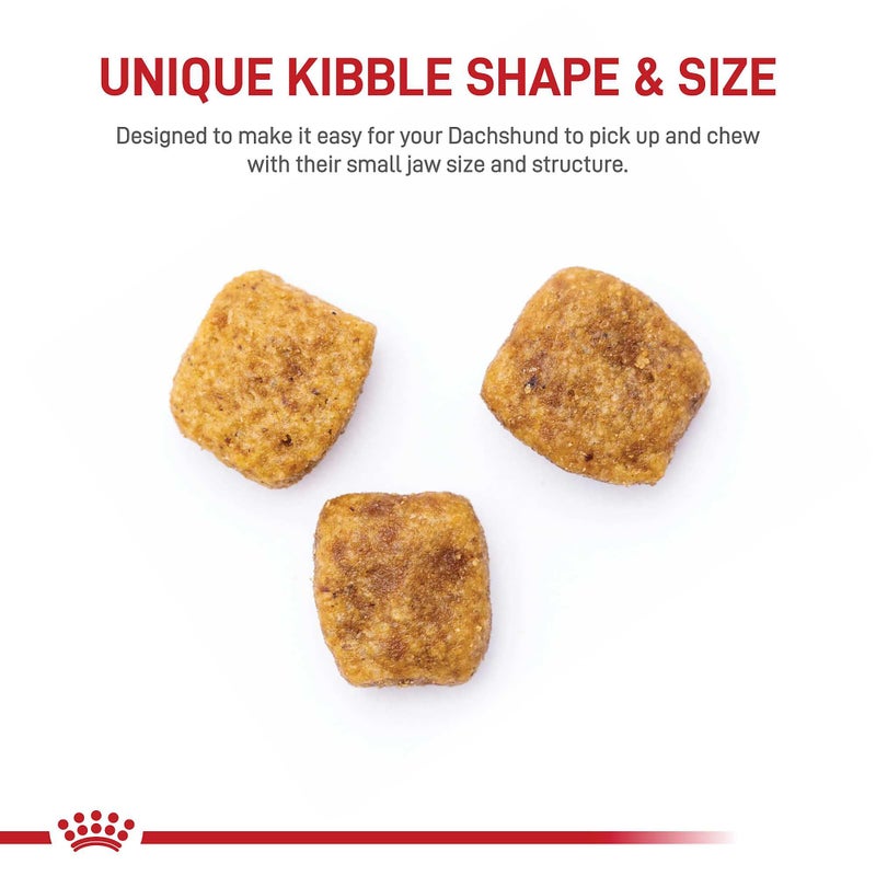 Royal Canin Breed Health Nutrition Dachshund Adult Dry Dog Food, 10 lb Bag - Image 2