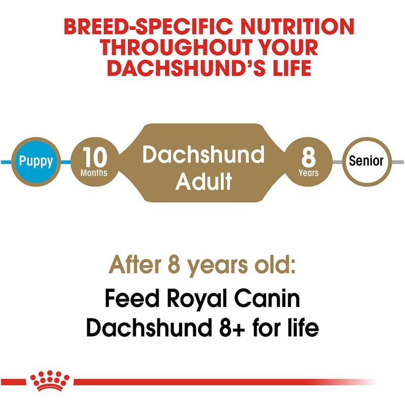 Royal Canin Breed Health Nutrition Dachshund Adult Dry Dog Food, 10 lb Bag - Image 5