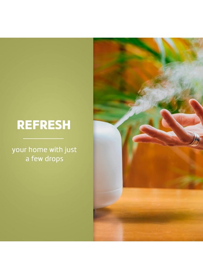 Eucalyptus Essential Oil Aromatherapy For Diffuser Or Humidifier, 100% Pure Steam Distilled Eucalyptus Globulus 4 Fl Oz