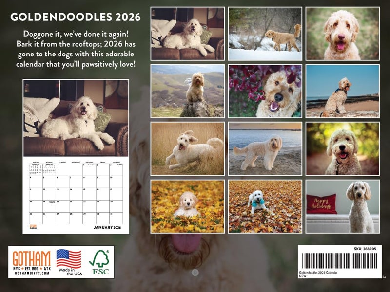 Poster Foundry Goldendoodle Calendar 2026 Wall 12 Month Golden Doodle Gifts For Goldendoodle Lovers Monthly Wall Calender | American Made In The USA - Image 2