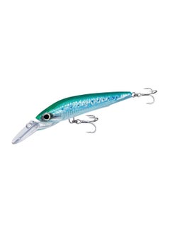 Sardine