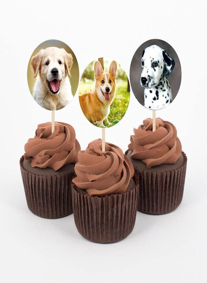 Hohamn 1.5" Dog Stickers for Kids Teachers, 500 Pcs Dog Puppy Stickers for Toddlers Birthday Party, School Reward, Giveaways - Image 5