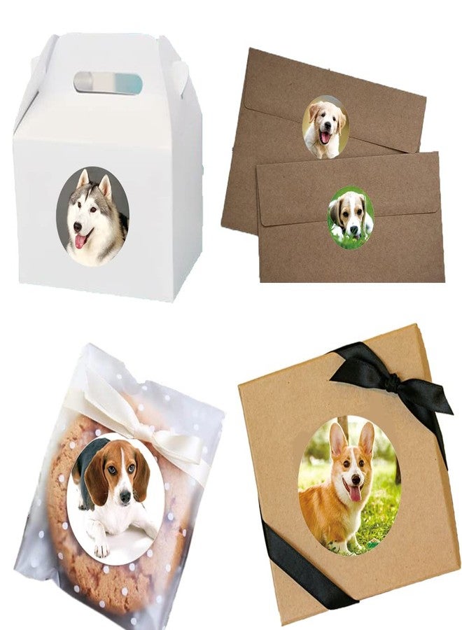 Hohamn 1.5" Dog Stickers for Kids Teachers, 500 Pcs Dog Puppy Stickers for Toddlers Birthday Party, School Reward, Giveaways - Image 4