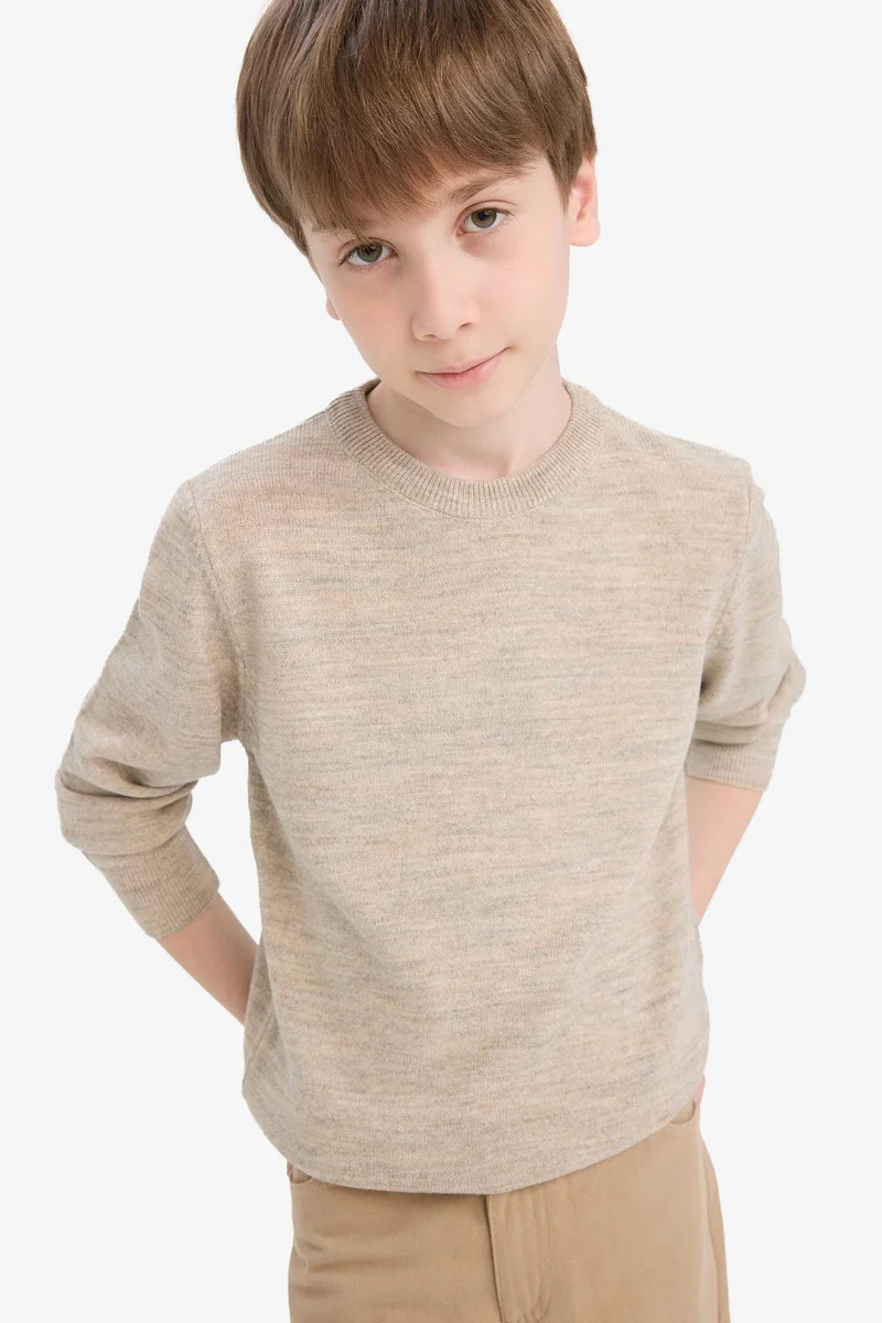 DeFacto Boy Regular Fit Crew Neck Knit Pullover