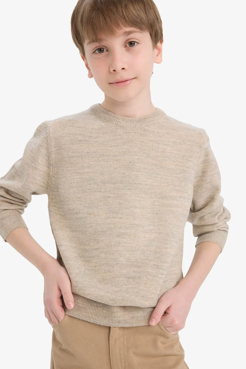 DeFacto Boy Regular Fit Crew Neck Knit Pullover