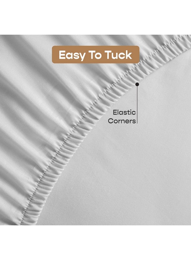 SleepyCat Fitted Bedsheet Set 100% Cotton 200TC Percale Combed Yarn with a Durable Elastic and Corner Stitch Oeko-TEX & AZO Free with 2 Standard Size Pillow Cases (King Size 78x72) Dolphin Grey - Image 4