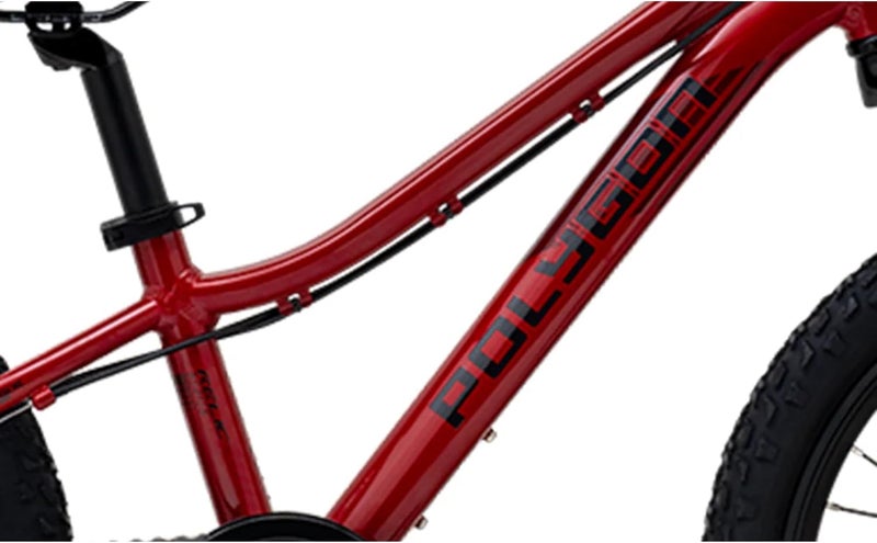 Polygon Relic 20 Kids Mountain Bike | 20-Inch Wheels | Shimano 1x6 Speed | Mechanical Disc Brakes|AL6 Alloy Frame | Red | Youth MTB Bicycle | Small - Image 5