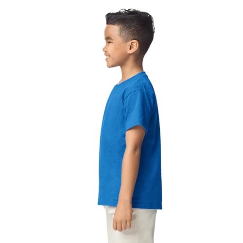Gildan Youth DryBlend T-Shirt, Style G8000B, 2-Pack, Royal, Large - Image 4