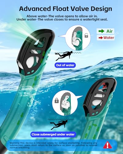 Freela Adult Dry Snorkel Set Scuba Diving Mask with Mirrored Blue Len, Tempered Glass 180° Wide View, Anti Fog No Leak Snorkeling Gear for Men Women Youth with Nose Cover for Breathing Swimming Diving - Image 5