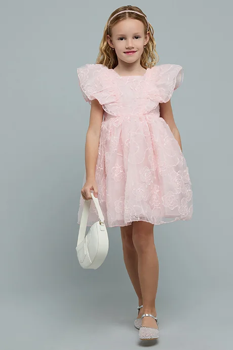R&B Embroidered Dress with Square Neck and Ruffle Sleeves