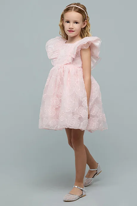 R&B Embroidered Dress with Square Neck and Ruffle Sleeves