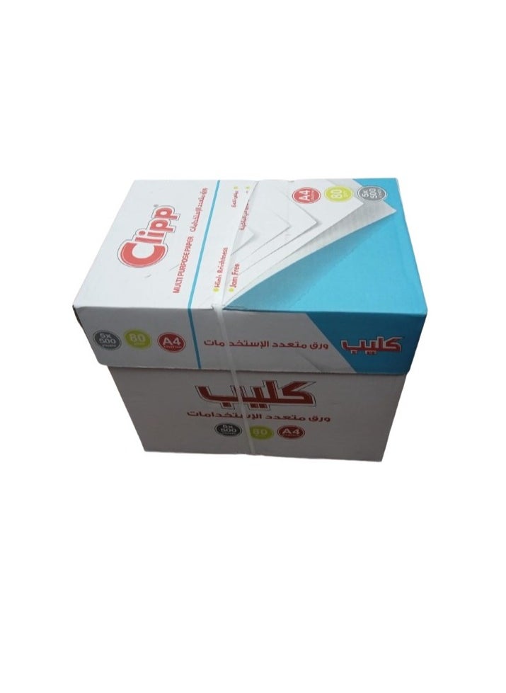 CLIPP 80 GSM A4 Size 5 Reams Per Carton Box  - Image 1