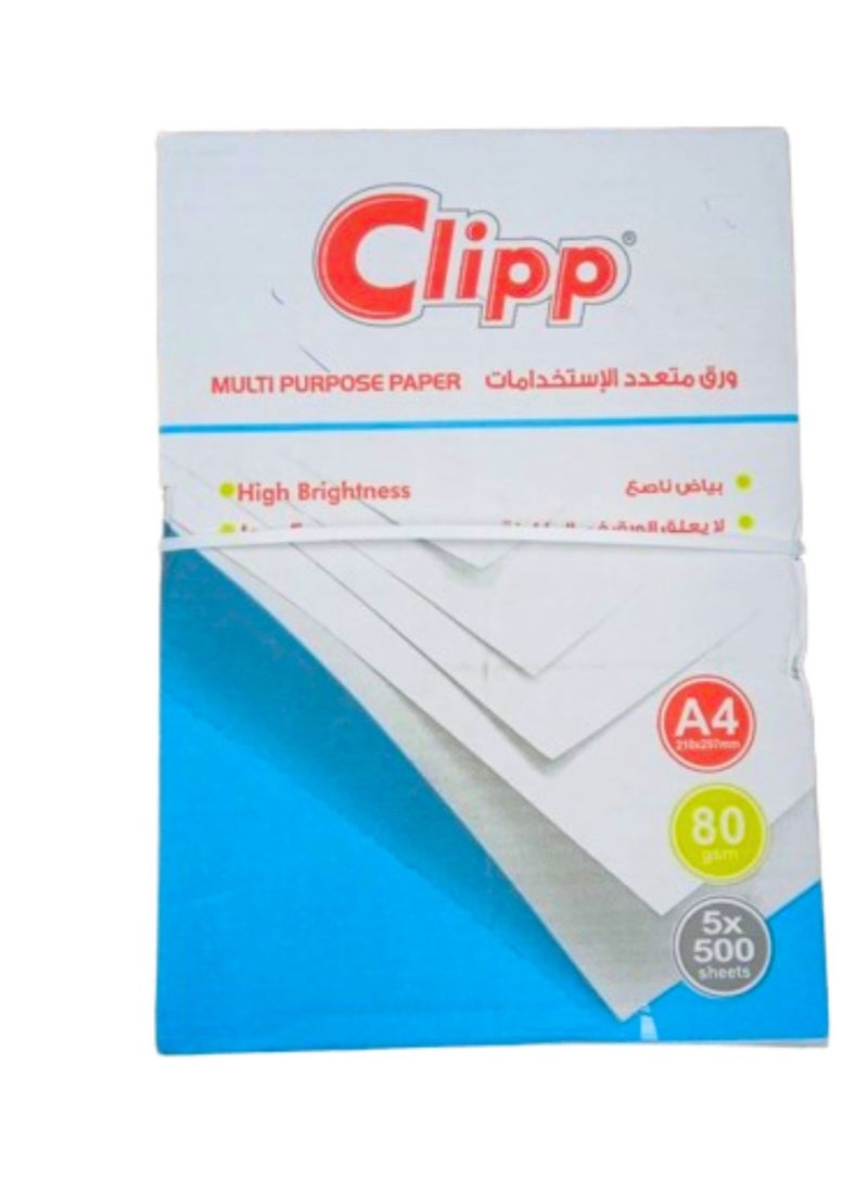 CLIPP 80 GSM A4 Size 5 Reams Per Carton Box  - Image 2